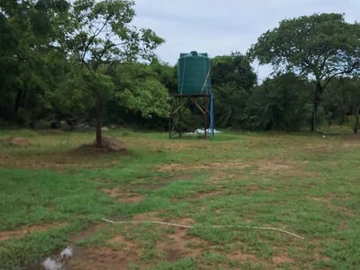 Prime Agricultural Land: RUWA PLOT 6.56 hectares
