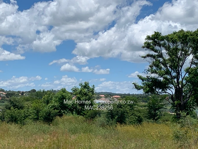 Rusape Land For Sale (Sole Mandate)