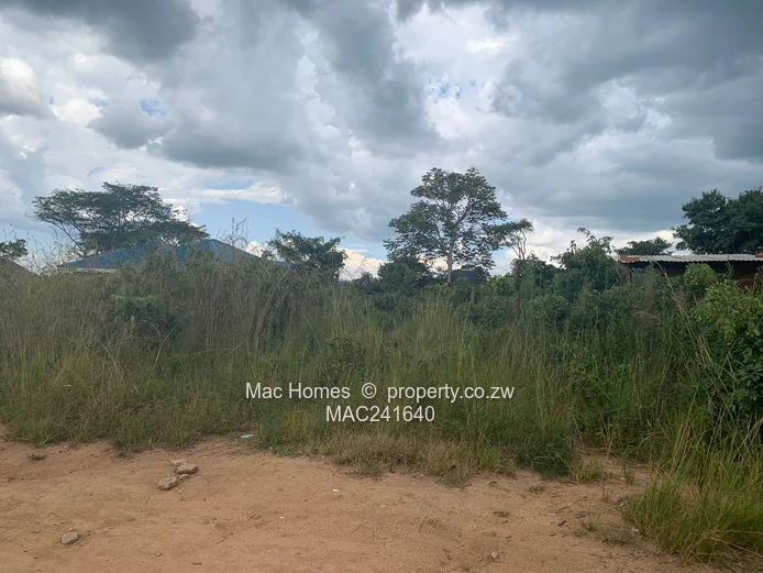 Crowhill In-Fill Stand for Sale (Sole Mandate)