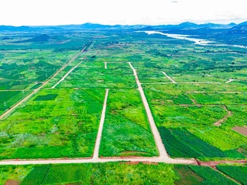 Stands & Residential Land