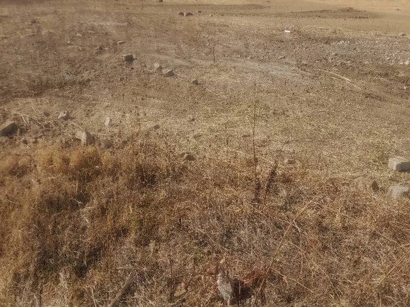 Commercial & Industrial Land