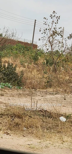 Glaudina land for development 