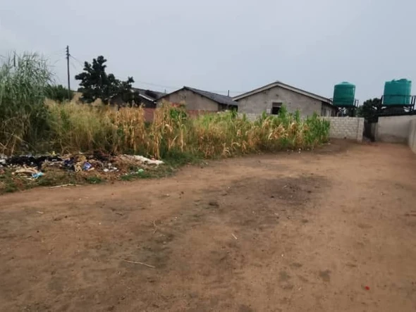 Stands & Residential Land
