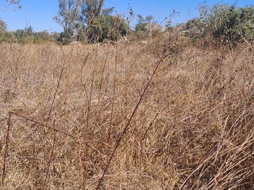 Farm & Agricultural Land