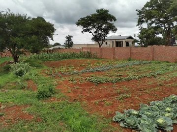 Stands & Residential Land