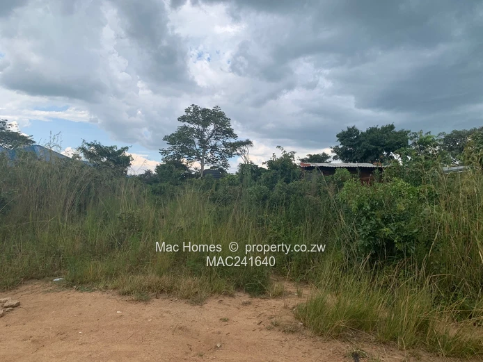 Crowhill In-Fill Stand for Sale (Sole Mandate)