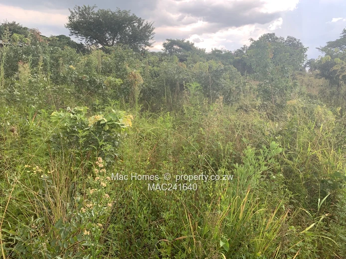 Crowhill In-Fill Stand for Sale (Sole Mandate)