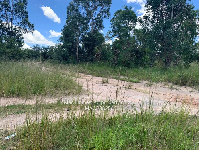 Rusape Land For Sale (Sole Mandate)
