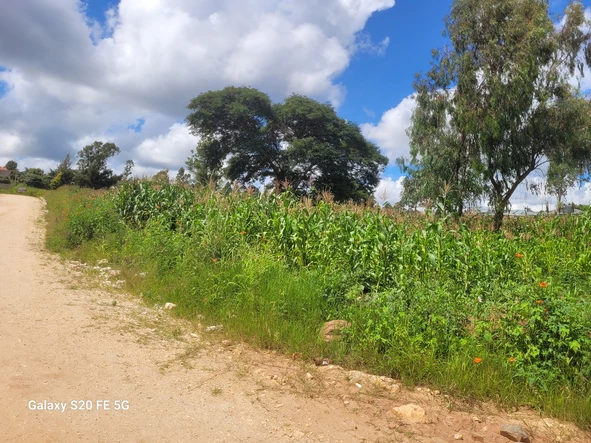 Stands & Residential Land