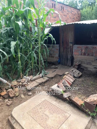 Stunning Semi-Detached House for Sale in Paddonhurst