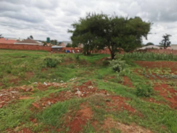 Stands & Residential Land