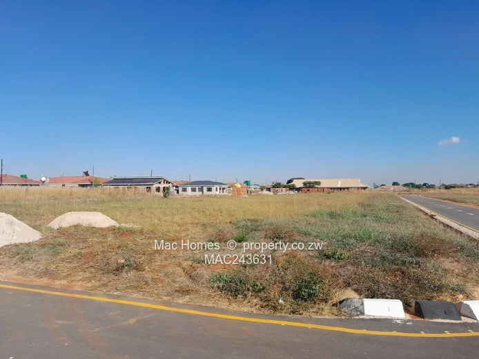 Ready to Build Stand- Modern Development