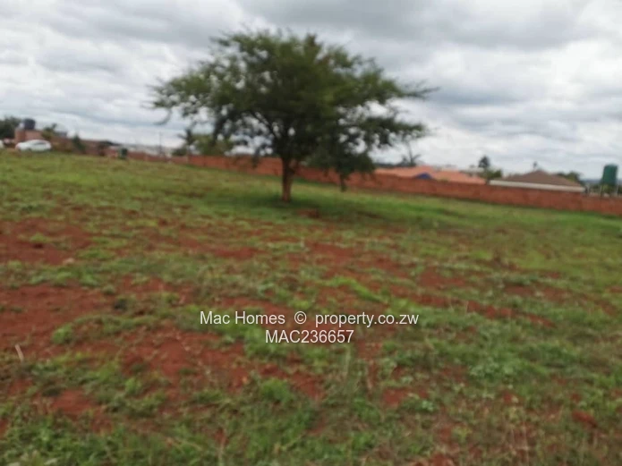 Ready to Build Stand