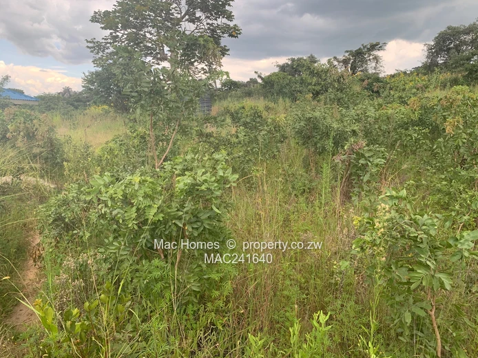 Crowhill In-Fill Stand for Sale (Sole Mandate)