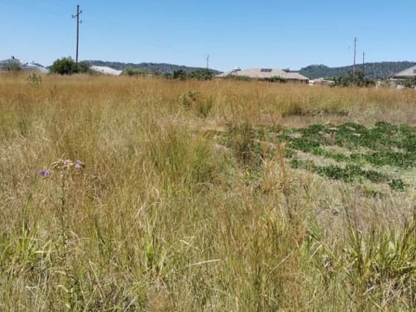Stands & Residential Land