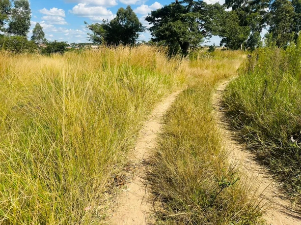 Commercial & Industrial Land