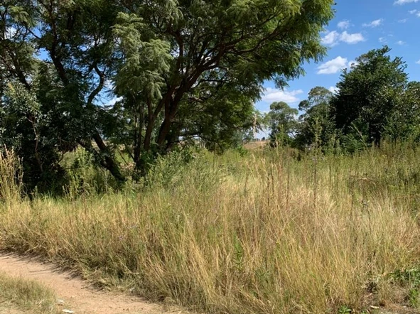 Commercial & Industrial Land