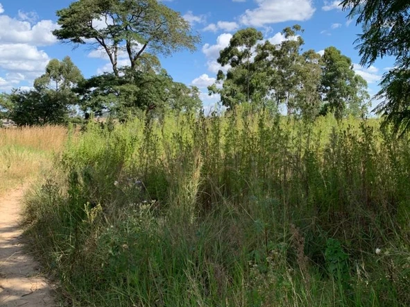 Commercial & Industrial Land