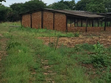 Farm & Agricultural Land