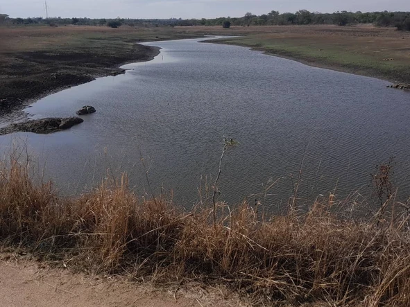 Farm & Agricultural Land