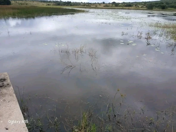 Farm & Agricultural Land