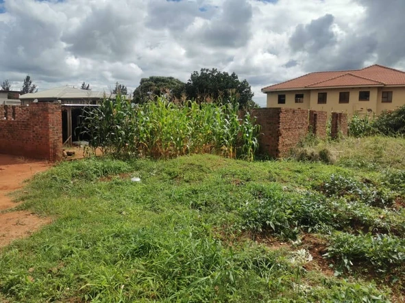 Stands & Residential Land