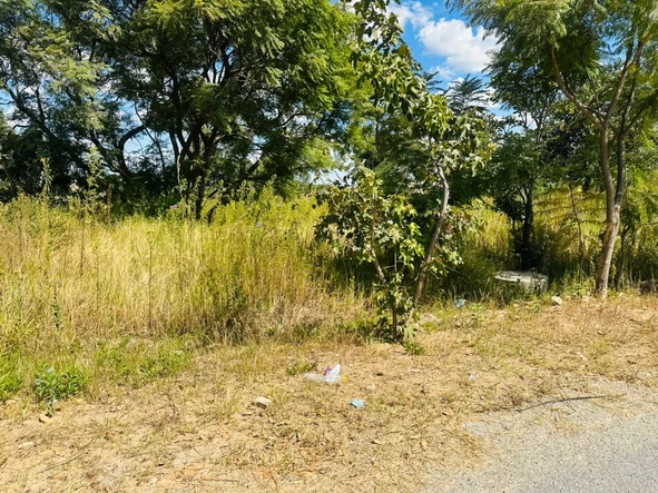 Commercial & Industrial Land