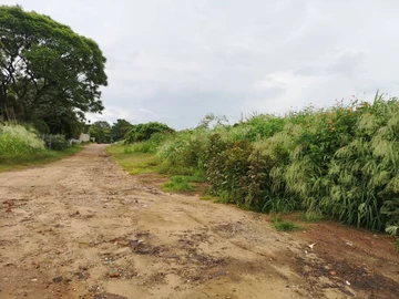 Commercial & Industrial Land