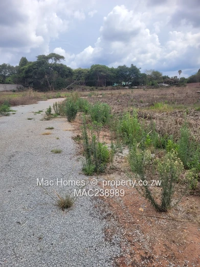 Borrowdale stand for sale - 130k (Sole Mandate)