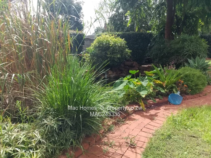 Greystone Park Full House For Sale ??