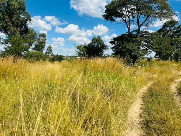 Commercial & Industrial Land