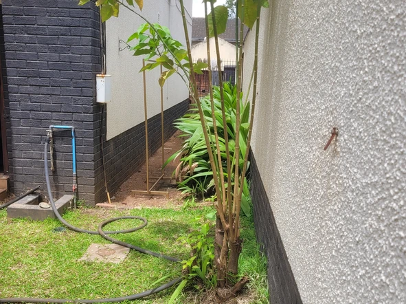 3 Bedroom Flat & Apartment