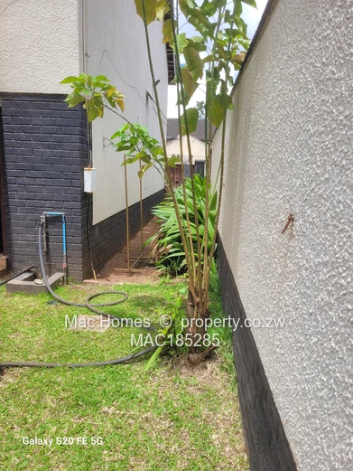 Duplex apartment for sale 230kneg (Sole Mandate)