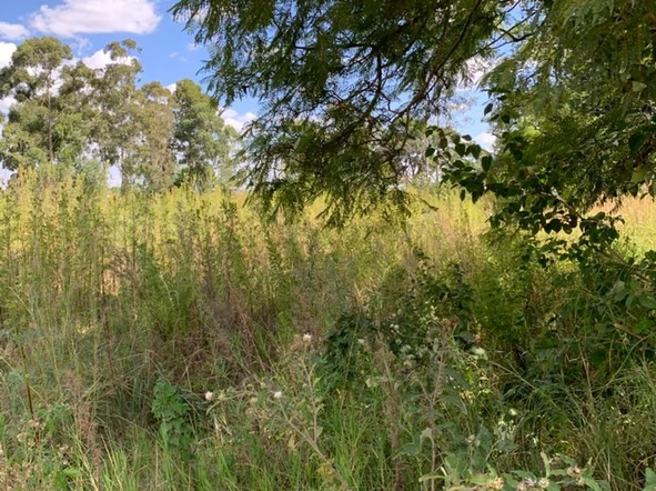 Commercial & Industrial Land