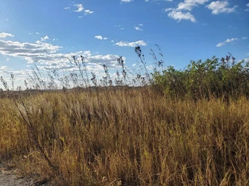 Commercial & Industrial Land