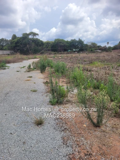 Borrowdale stand for sale - 130k (Sole Mandate)