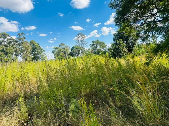 Commercial & Industrial Land