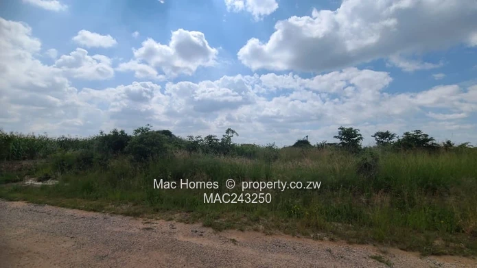 Flat land ready to build for sale (Sole Mandate)