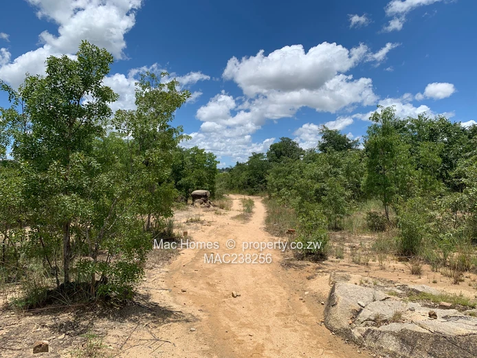 Rusape Land For Sale (Sole Mandate)