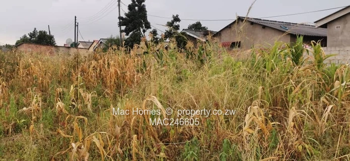 Ready to Build Stand- Manyame Chitungwiza