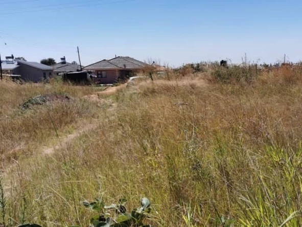 Stands & Residential Land
