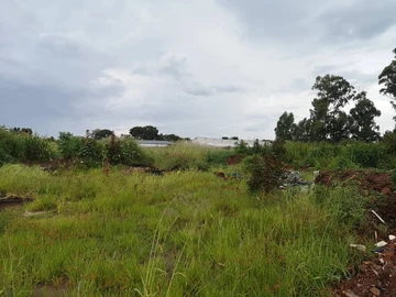 Commercial & Industrial Land