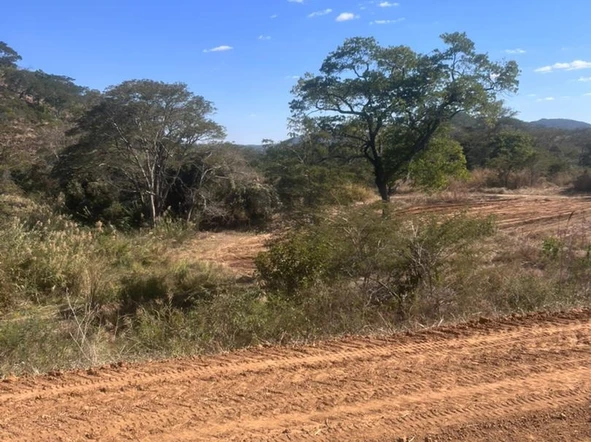 Farm & Agricultural Land