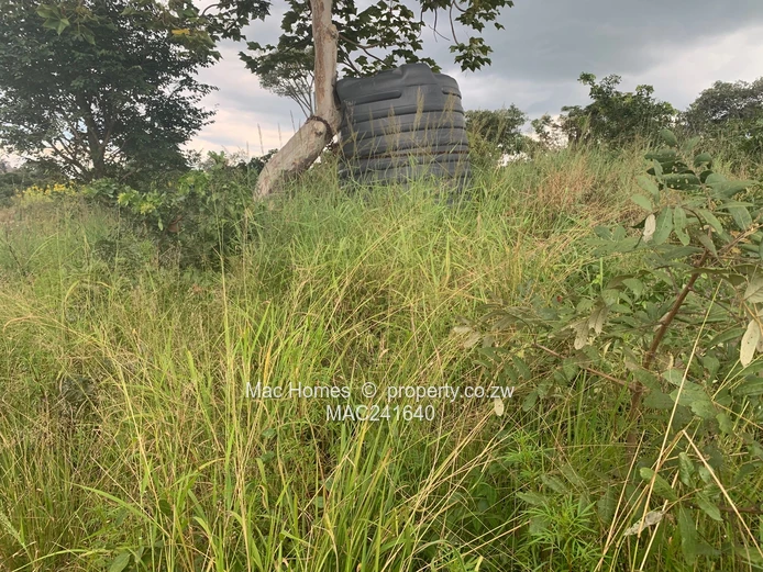 Crowhill In-Fill Stand for Sale (Sole Mandate)