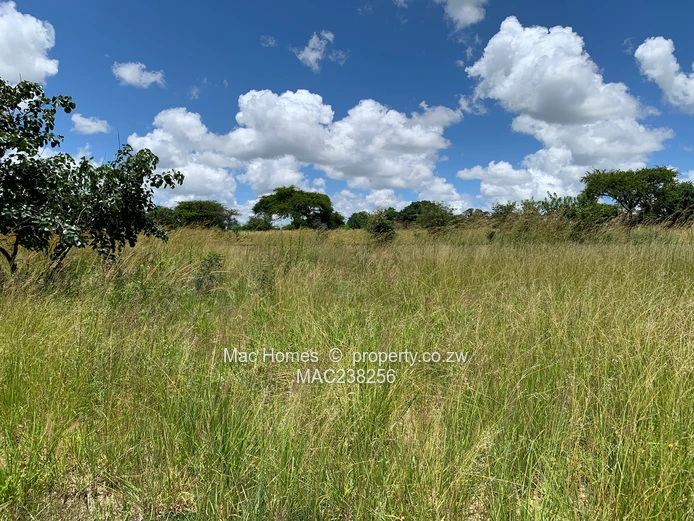 Rusape Land For Sale (Sole Mandate)