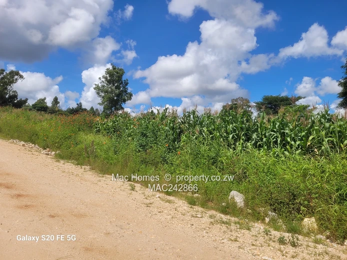 Hogerty hills Stand for sale -75k (Sole Mandate)