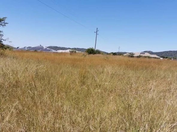 Stands & Residential Land