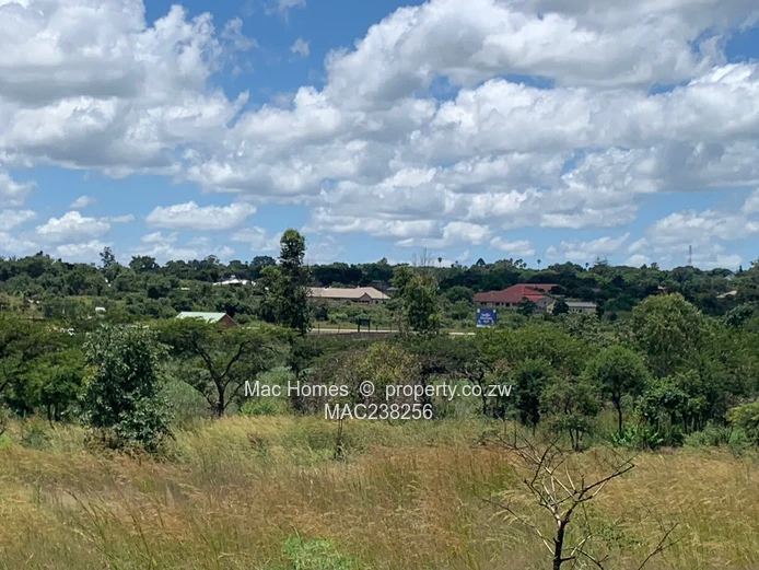 Rusape Land For Sale (Sole Mandate)