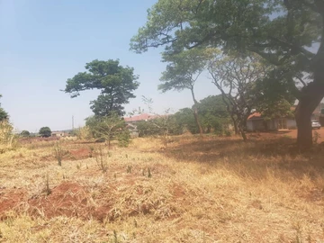 Stands & Residential Land