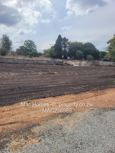 Borrowdale stand for sale - 130k (Sole Mandate)